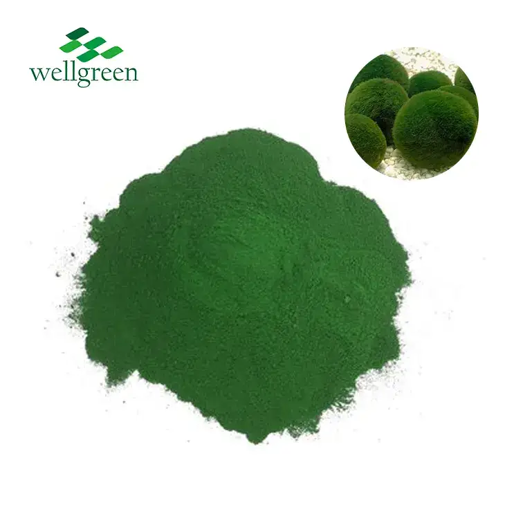 Chlorella Powder